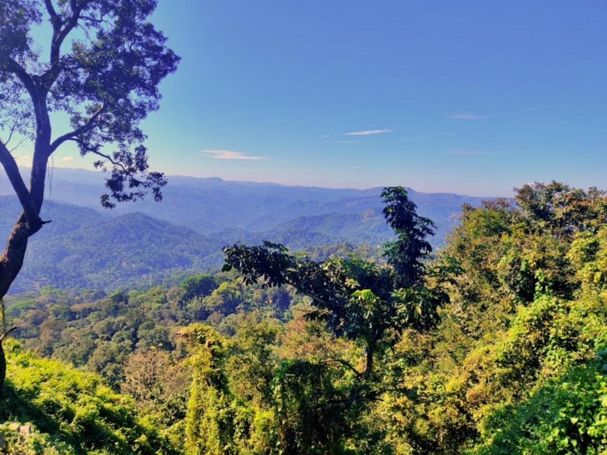 Wild Mist Homestay Munnar Luaran gambar